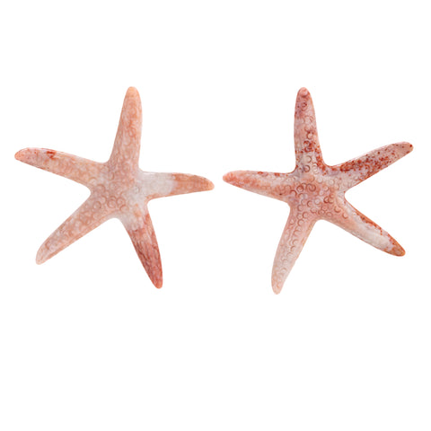 Starfish i chalcedony earrings