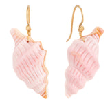 Palm beach i conch shell earring