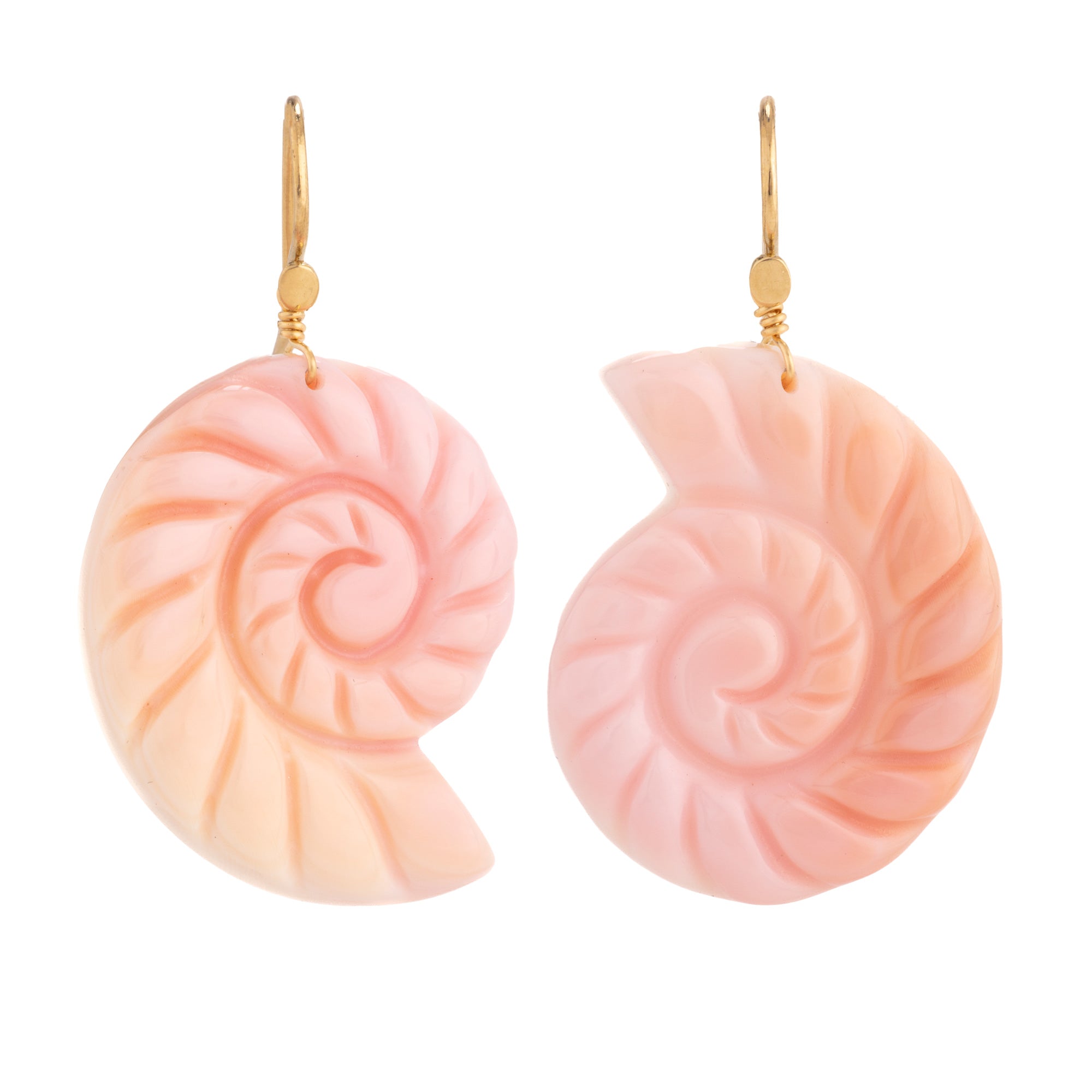 Nautilus i shell earring