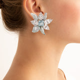 Winter burst iix pearl and aquamarine earrings